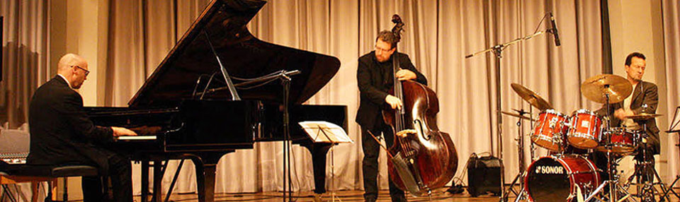 Foto Lucas Heidepriem Trio in Emmendingen am 10. November 2011