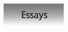 Button "Essays" - führt zur Seite mit (selbst verfaßten) Texten zu verschiedenen, hauptsächlich musik-relevanten Themen.